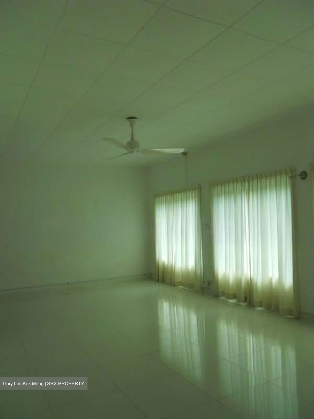 Raffles Park (D11), Detached #564194331